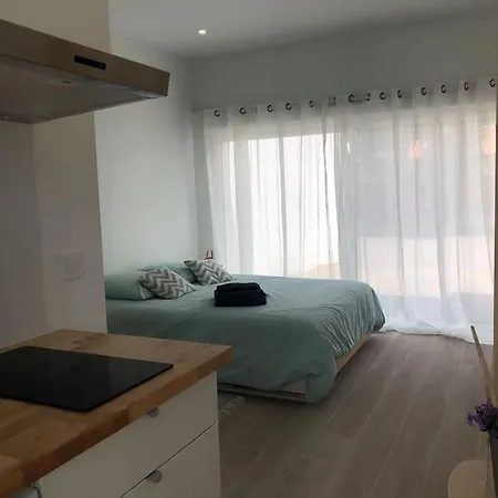 Dans Impasse Proche Plages Hossegor Apartment *